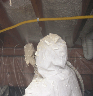  SD crawl space insulation